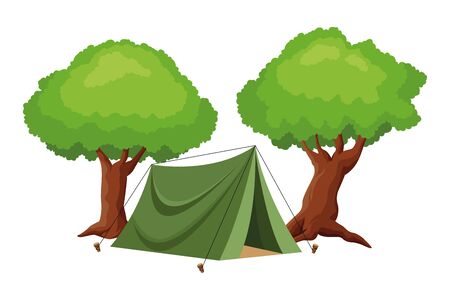 Regionale Einkaufsmöglichkeiten beim Camping