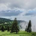 Familienfreundliche Stellplätze für Wohnmobile und Wohnwagen im Schwarzwald