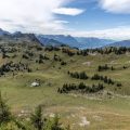 Die 15 beliebtesten Campingplätze in Bayern: Ein umfassender Vergleich