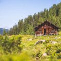 Regionale und saisonale Ernährung als Teil der Zero-Waste-Reise