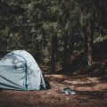 Campingplatz oder Wildcampen: Wie unterschiedlich sind die Möglichkeiten für Wohnmobil- und Wohnwagenbesitzer?