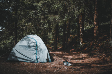 Campingplatz oder Wildcampen: Wie unterschiedlich sind die Möglichkeiten für Wohnmobil- und Wohnwagenbesitzer?