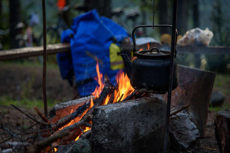 Die Rolle nachhaltiger Hygieneprodukte für die Umweltbildung beim Camping in Deutschland