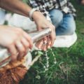 Regionale Spezialitäten: Vegetarische und vegane Campingküche mit deutschen Zutaten