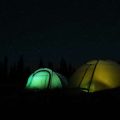 Abenteuer und Entspannung: Familienurlaub auf dem Bauernhofcamping im Schwarzwald
