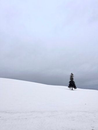 Vorbereitung auf das Wintercamping in den Bergen: Ausrüstung, Planung und Organisation