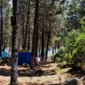 Bewusst konsumieren im Campingalltag: Impulse für ein nachhaltiges Essverhalten