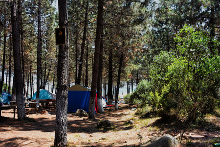 Bewusst konsumieren im Campingalltag: Impulse für ein nachhaltiges Essverhalten