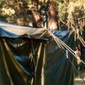 Vegane Notfallküche beim Camping: Schnelle und einfache Gerichte für alle Fälle