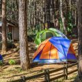 Wie du feuchte Ausrüstung nach dem Campen zuhause richtig pflegst