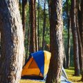 Zeltaufbau im strömenden Regen: Schritt-für-Schritt-Anleitung für nasse Tage