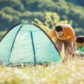 Wildcampen im Wald: Gesetzeslage, Risiken und Alternativen