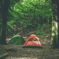 Nachhaltigkeit im Fokus: Wie Campinganbieter in Deutschland Energie sparen