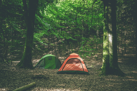 Nachhaltigkeit im Fokus: Wie Campinganbieter in Deutschland Energie sparen