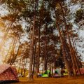 Wildromantik pur: Camping im Bayerischen Wald Nationalpark