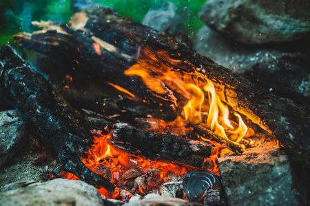Vom Sport bis zur Lagerfeuergeschichte: Wie gemeinsame Aktivitäten die Campinggemeinschaft prägen