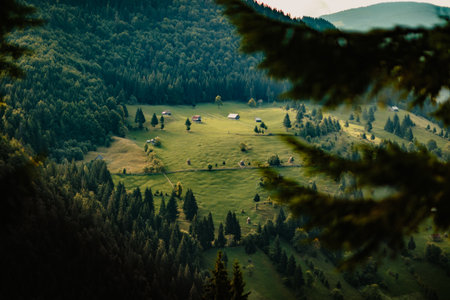 Die Rolle von Bio- und Öko-Produkten beim regionalen Einkaufen