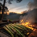 Tipps und Tricks für sicheres Lagerfeuer-Grillen in deutschen Campingplätzen
